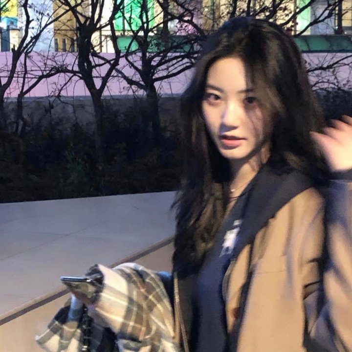 金药局的女儿们